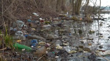 Plastik şişeler ve diğer çöpler gölün kıyısında yatıyor.