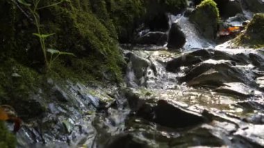 Küçük dere, temiz dağ suyu taşların arasından akar.