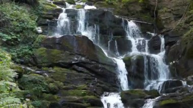 Dağlarda şelale, Karpat Dağları 'nın vahşi doğası, Ukrayna