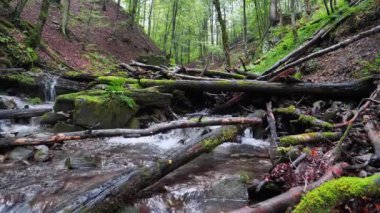 Dağlardaki güzel küçük nehir ve orman