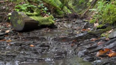 Dağlardaki küçük dere, güzel sonbahar Karpat Dağları 'nın vahşi doğası, Ukrayna