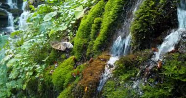 Sinema 4K Dağlardaki güzel küçük dereler