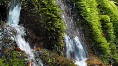 Dağlardaki güzel küçük akarsular
