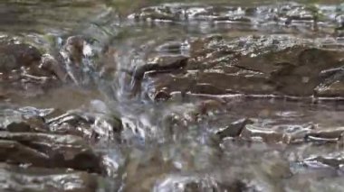 Küçük bir akarsu, taşların üzerinden akıyor.