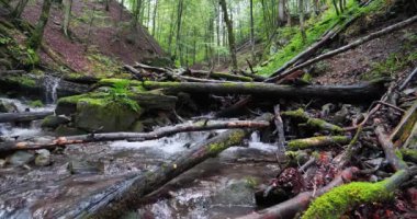 Sinema 4K 60fps Dağlardaki güzel küçük nehir, Karpat Dağlarının vahşi doğası