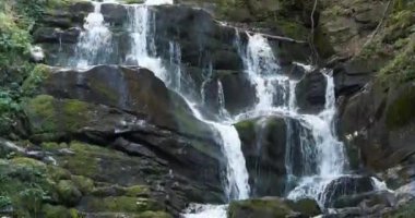 Sinema 4K 60fps Dağlarda güzel şelale, Karpat Dağlarının vahşi doğası, Ukrayna