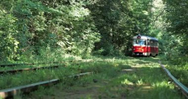 KYIV, UKRAINE, SEPTEMBER 2, 2020: Cinema 4K City tramvayı ormandan geçip Pushcha-Vodytsia, Kyiv, Ukrayna 'ya gidiyor