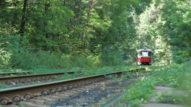 UKRAINE, KYIV, SEPTEMBER 3, 2020: Şehir tramvayı ormandan geçip Pushcha-Vodytsia 'ya gidiyor - tarihi mahalle, iklim merkezi ve Kiev şehrinin kuzeybatısında kentsel bir yerleşim birimi