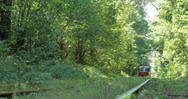 Şehir tramvayı ormandan geçip Pushcha-Vodytsia, Kyiv, Ukrayna 'ya gidiyor.