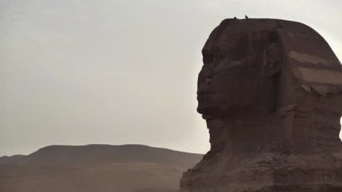 Kahire şehri yakınlarındaki Giza Platosu 'nda büyük Sfenks.