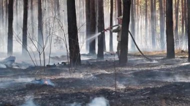 KYIV, UKRAINE, 12 Nisan 2020: Yavaş Hareket Yangını söndüren, itfaiye hortumlu cesur itfaiyeci odundaki yangını söndürdü