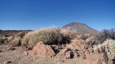 Volkan Teide - İspanya 'nın en yüksek zirvesi, 3718 metre, Teide Ulusal Parkı, Tenerife Adası, Kanarya Adaları, İspanya