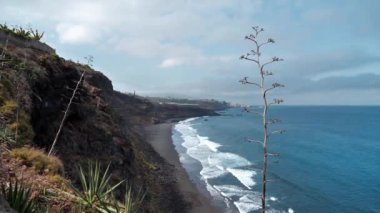 Tenerife Adası, Kanarya Adaları, İspanya 'da siyah volkanik kumlu vahşi sahil