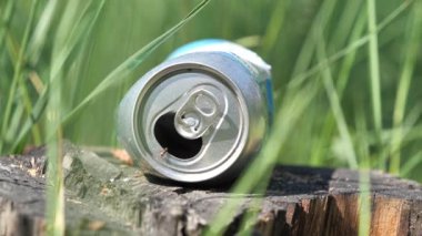 Bira ormanda, çevreyi kötüye kullanmada, çevre kirliliğinde yatabilir