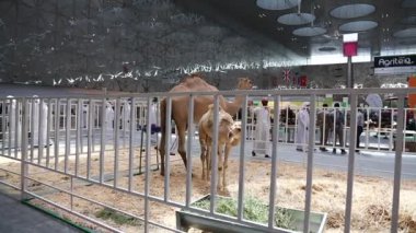 Katar, DOHA, 20 Mart 2018: Doha Sergi ve Kongre Merkezi, Katar