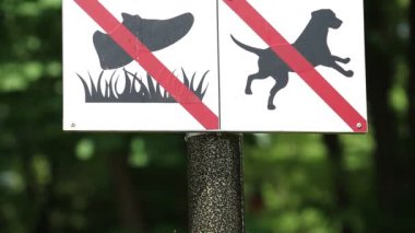 Köpek yasağı işareti. Şehir parkında plaka var. Çimlerde yürümek yasak ve köpeklere izin yok.