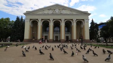 UKRAINE, POLTAVA, 19 Haziran 2017: Poltava akademik bölgesel Ukrayna müzik ve drama tiyatrosu yakınlarındaki insanlar ve pideonlar M.V. Gogol. Poltava - Ukrayna 'nın merkezinde Vorskla Nehri üzerinde yer alan şehir