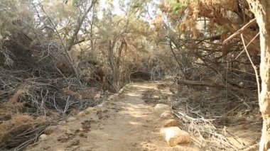 Al-Maghtas - İsa 'nın vaftiz edildiği tarihi yer, Ürdün Nehri' nin doğu kıyısında, Ürdün 'ün Ötesindeki Bethany Vaftiz Alanı olarak bilinen bir arkeolojik dünya mirası alanıdır.