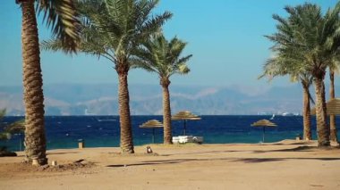 Ürdün 'ün Haşim Krallığı, Tala Körfezi' ndeki tropik tatil beldesi. Kızıl Deniz, Akabe Körfezi. İsrail ve Mısır 'a bak. Resimli sahilde avuçlar