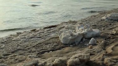 Ölü Deniz kıyısında, Ürdün. Ölü Deniz 'in beyaz tuz birikintileri. Ürdün 'ün Haşim Krallığı' ndaki Ölü Deniz kıyısında tuz