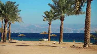 Avuç içi güzel sahilde. Tala Bay, Ürdün Haşimi Krallığı tropikal beldesinde. Kızıldeniz, gulf of Akabe. İsrail ve Mısır