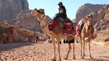 JORDAN, PETRA, 5 ARALIK 2016: Petra 'daki Colonnade Caddesi yakınlarında Ürdün devesi üzerinde Ürdün, başlangıçta Nabatlılar tarafından Raqmu olarak biliniyordu - Ürdün Haşim Krallığı' nın tarihi ve arkeolojik kenti