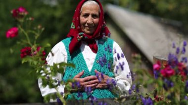 Yaşlı kadın evinin yakınındaki çiçeklerin içinde duruyor ve kameraya bakıyor. Ukraynalı kırmızı başörtülü yaşlı kadın ahşap kulübenin yanında duruyor ve kameraya bakıyor. Kadın kameraya bakar ve gülümser.