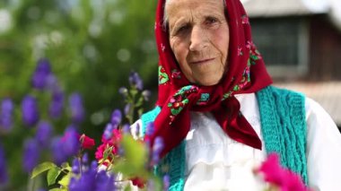 Ukraynalı kırmızı başörtülü yaşlı kadın ahşap kulübenin yanında duruyor ve kameraya bakıyor. Yaşlı kadın evinin yakınındaki çiçeklerin içinde duruyor ve kameraya bakıyor. Kadın kameraya bakar ve gülümser.
