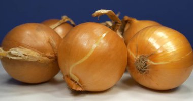 Ampul soğanı. Soğan - çok yararlı özellikleri olan çok sağlıklı bir ürün. Sinema 4K 60fps yakınlaştırma videosu