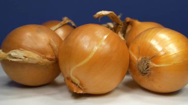 Ampul soğanı. Soğan - çok yararlı özellikleri olan çok sağlıklı bir ürün
