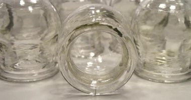 Sinularia dura - Alcyoniidae familyasından Alcyonacea cinsine ait mercan polipleri.