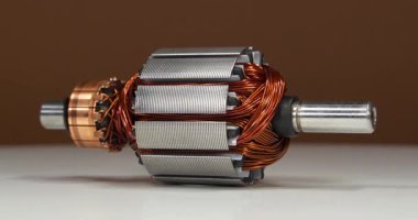 Sinularia dura - Alcyoniidae familyasından Alcyonacea cinsine ait mercan polipleri.