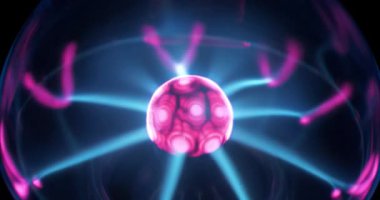 Sinularia dura - Alcyoniidae familyasından Alcyonacea cinsine ait mercan polipleri.