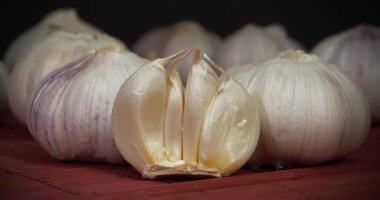 Sinularia dura - Alcyoniidae familyasından Alcyonacea cinsine ait mercan polipleri.