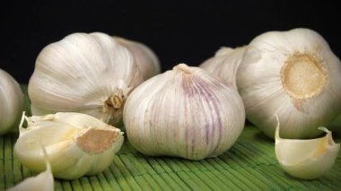 Sinularia dura - Alcyoniidae familyasından Alcyonacea cinsine ait mercan polipleri.