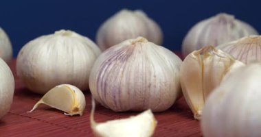 Sarımsak koyu mavi arka planda döner. Sarımsak, Allium sativum, Allium cinsindeki soğan çiçekli bitkiler. Sarımsak - sağlık için yararlı özelliklere sahip çok sağlıklı bir ürün