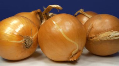 Sarı soğan soğanı. Soğan - sağlık için yararlı özelliklere sahip çok sağlıklı bir ürün, uzaklaşma videosu