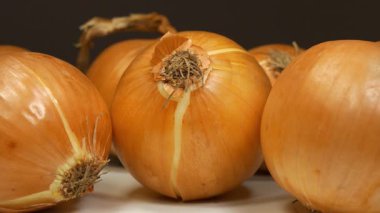 Ampul soğanı koyu arkaplanda döner, yakın çekim video