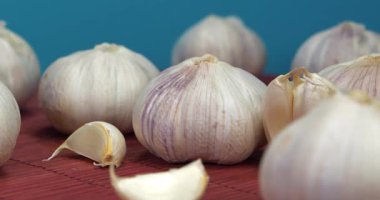 Sarımsak mavi arka planda döner. Sarımsak - sağlık için yararlı özellikleri olan çok sağlıklı bir ürün. Sarımsak, Allium sativum, Allium cinsindeki soğan çiçekli bitkiler.