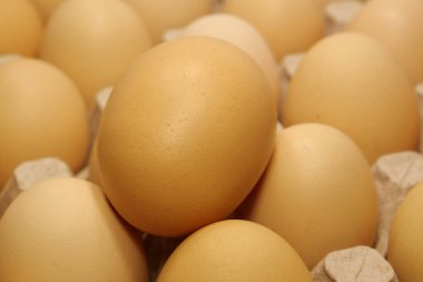 Tepside tavuk yumurtası. Taze sarı tavuk yumurtası. Tepside temiz sarı tavuk yumurtası, yakın çekim.