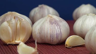 Sarımsak koyu mavi arka planda döner. Sarımsak - sağlık için yararlı özellikleri olan çok sağlıklı bir ürün. Allium sativum, Allium cinsindeki soğan çiçekli bitkiler.