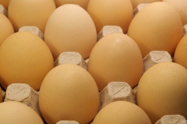 Karton tepside tavuk yumurtası