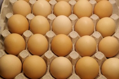 Tepside temiz sarı tavuk yumurtası, üst manzara. Taze koyu bej tavuk yumurtası.