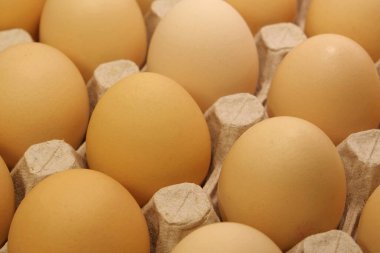 Taze sarı tavuk yumurtası. Tepside tavuk yumurtası.