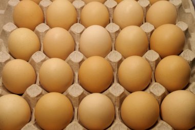 Tepside temiz sarı tavuk yumurtası, üst manzara. Taze koyu bej tavuk yumurtası.