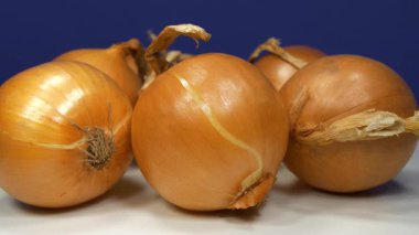 Koyu mavi arkaplanda soğan soğanı