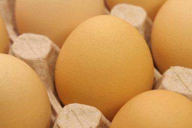 Taze sarı tavuk yumurtası. Tepside temiz tavuk yumurtası, aşırı yakın plan fotoğraf.