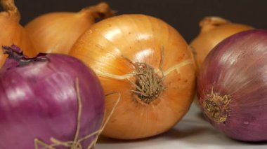 Sarı soğan ve kırmızı soğan, ayrıca mor soğan olarak da bilinir. Soğan - sağlık için birçok yararlı özelliği olan sebze