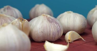 Sarımsak mavi arka planda döner. Sarımsak - sağlık için birçok yararlı özelliği olan sebze. Sarımsak, Allium sativum, Allium cinsindeki soğan çiçekli bitkiler.