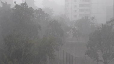 Şiddetli Yağmur Yavaş Hareket videosu